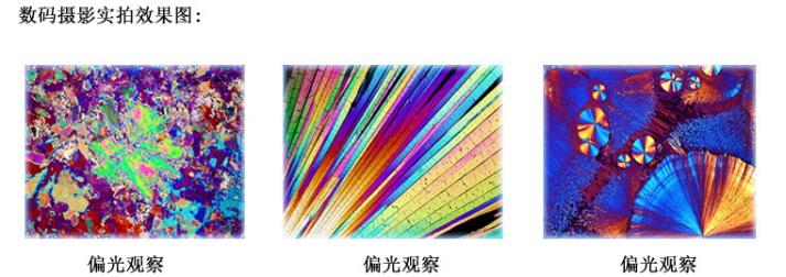 1638514600649041.png image.png