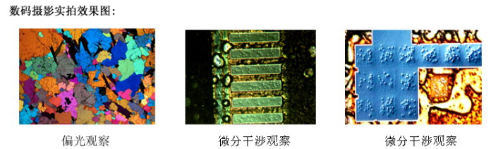 1640244084934495.png image.png