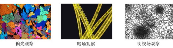 4XC20BD明暗场金相显微镜 4XC20BD明暗场金相显微镜