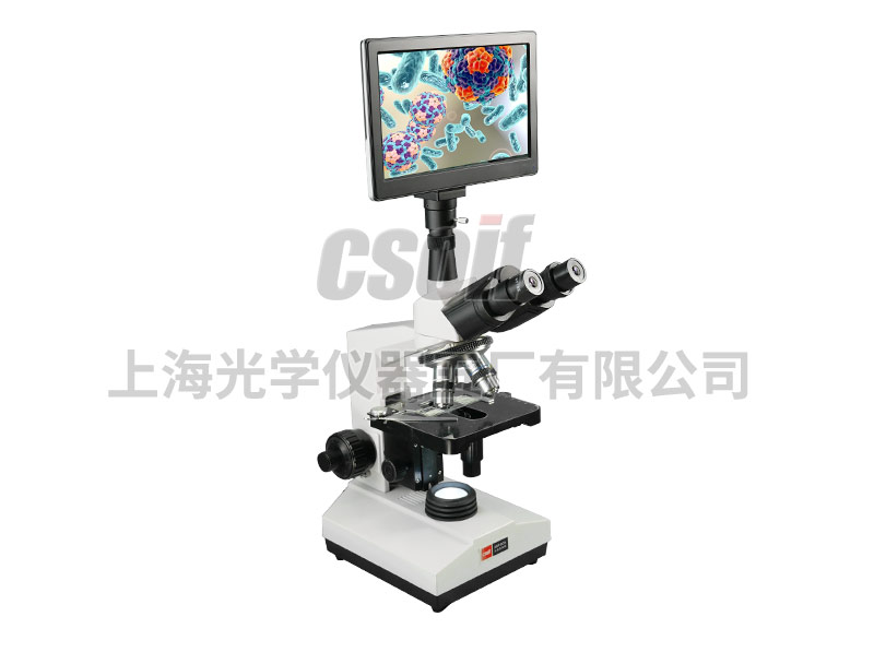 https://csoif.hongmao.cc/wp-content/uploads/2024/12/1648456895699983.jpg