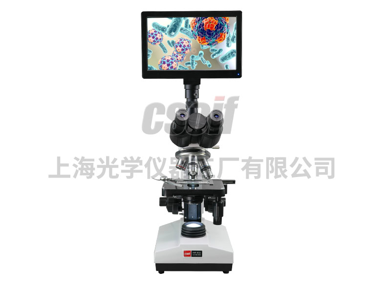 https://csoif.hongmao.cc/wp-content/uploads/2024/12/1648456901457386.jpg