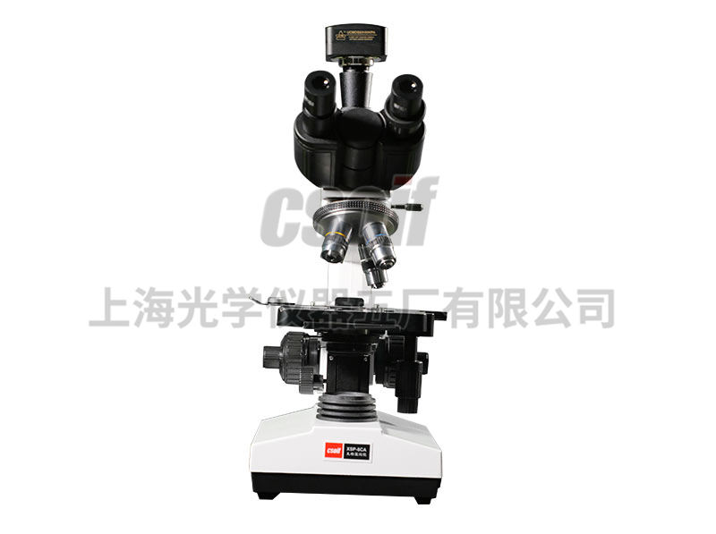 https://csoif.hongmao.cc/wp-content/uploads/2024/12/1648457319738154.jpg