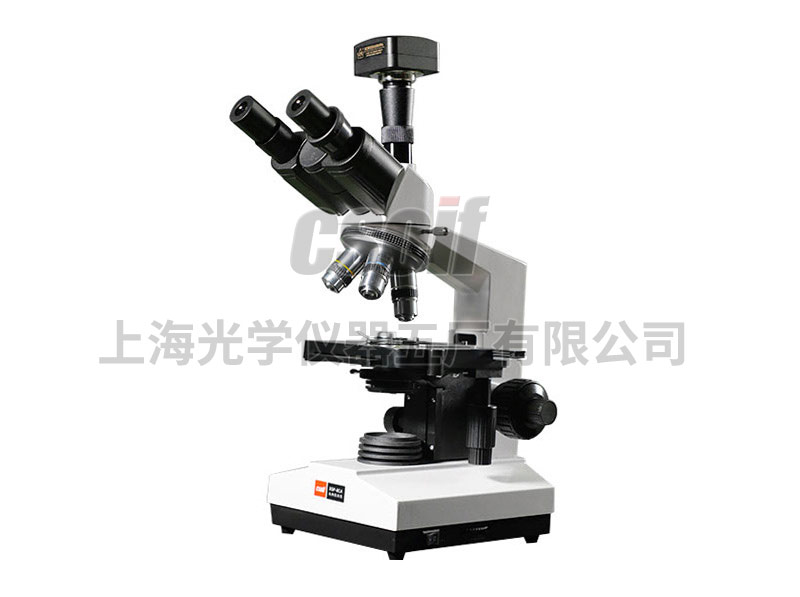 https://csoif.hongmao.cc/wp-content/uploads/2024/12/1648457322963469.jpg