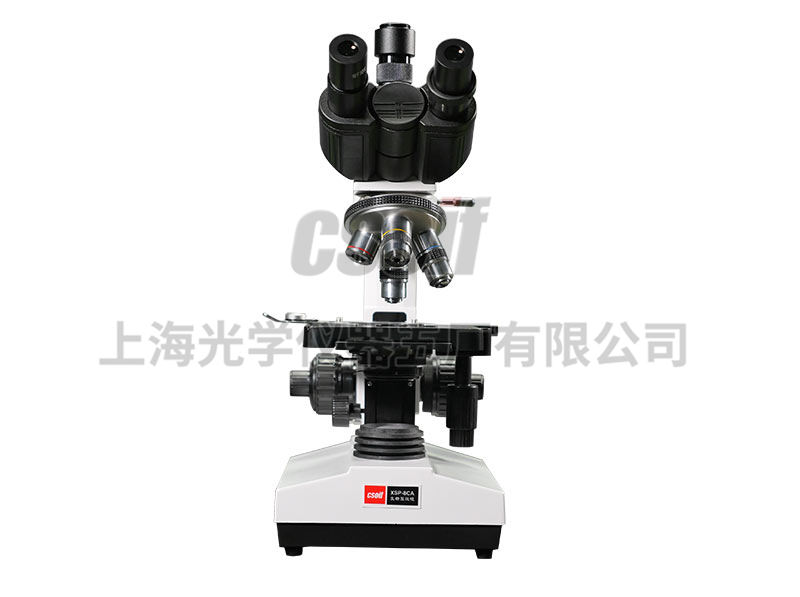 https://csoif.hongmao.cc/wp-content/uploads/2024/12/1648529242504760.jpg