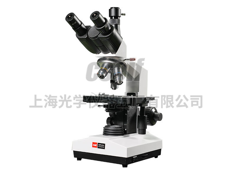 https://csoif.hongmao.cc/wp-content/uploads/2024/12/1648529245833847.jpg