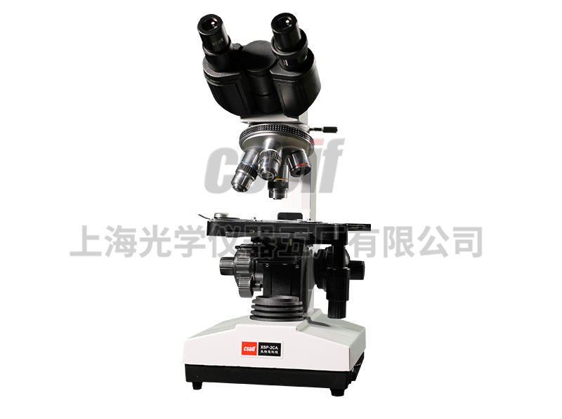 https://csoif.hongmao.cc/wp-content/uploads/2024/12/1648529853869011.jpg