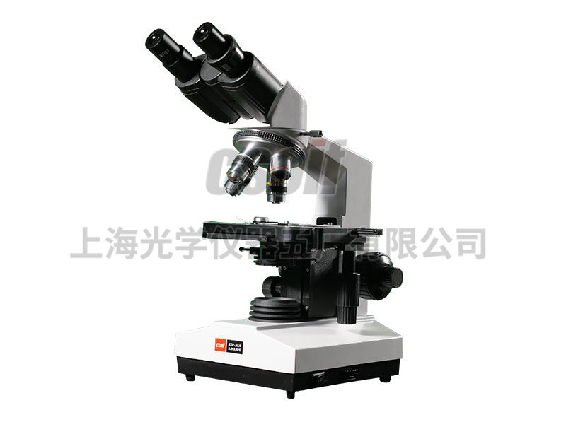 https://csoif.hongmao.cc/wp-content/uploads/2024/12/1648529856649568.jpg