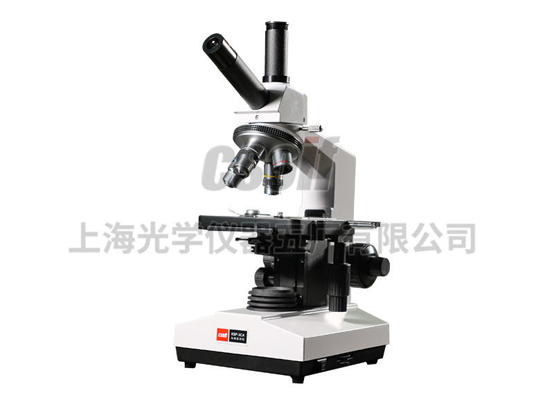 https://csoif.hongmao.cc/wp-content/uploads/2024/12/1648530615292096.jpg