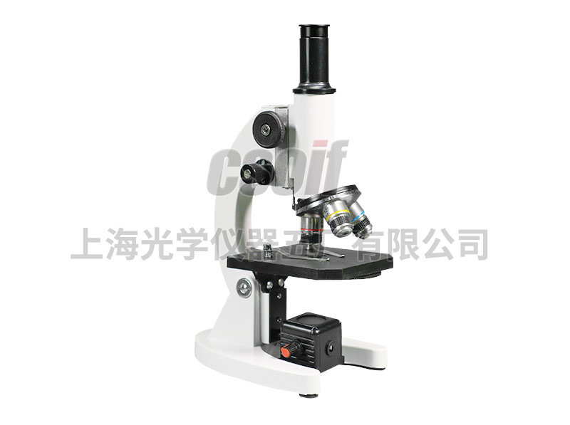 https://csoif.hongmao.cc/wp-content/uploads/2024/12/1648530977680570.jpg