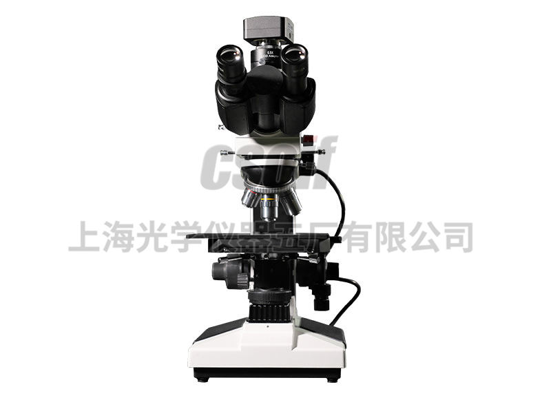 https://csoif.hongmao.cc/wp-content/uploads/2024/12/1648540980744495.jpg