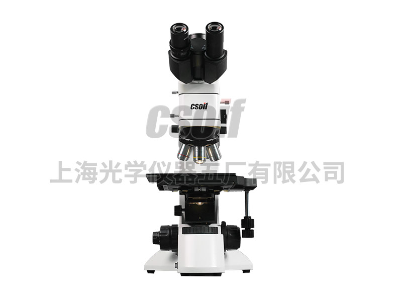 https://csoif.hongmao.cc/wp-content/uploads/2024/12/1649306665578757.jpg