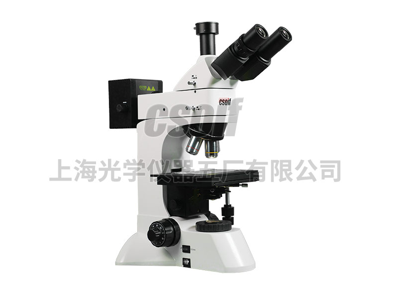 https://csoif.hongmao.cc/wp-content/uploads/2024/12/1649306665881088.jpg