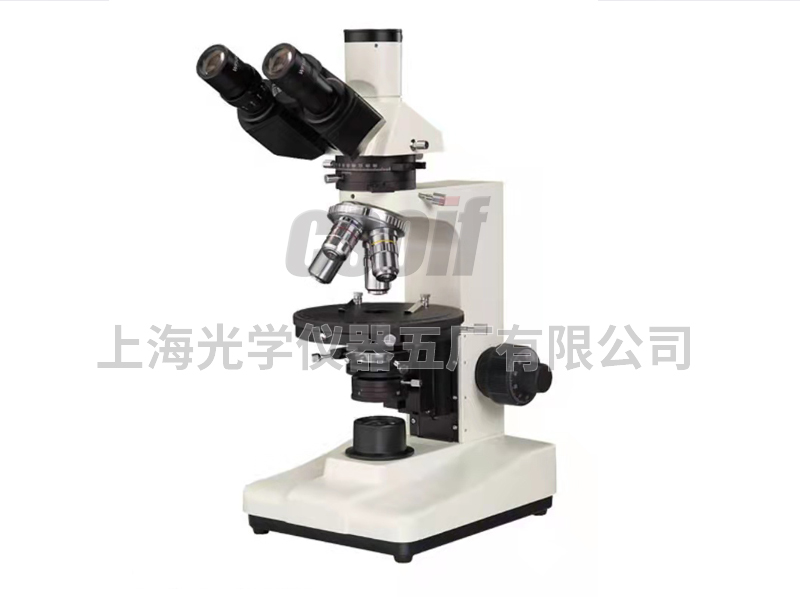 https://csoif.hongmao.cc/wp-content/uploads/2024/12/1649387478331793.jpg