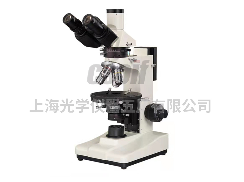 https://csoif.hongmao.cc/wp-content/uploads/2024/12/1649387481186343.jpg