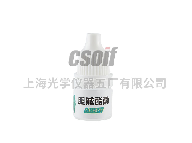 https://csoif.hongmao.cc/wp-content/uploads/2024/12/1649405106144268.jpg