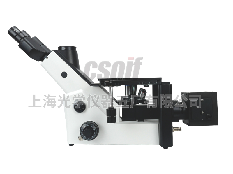 https://csoif.hongmao.cc/wp-content/uploads/2024/12/1690866570387585.jpg