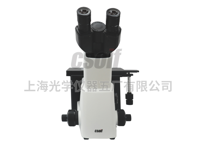 https://csoif.hongmao.cc/wp-content/uploads/2024/12/1690866575578559.jpg